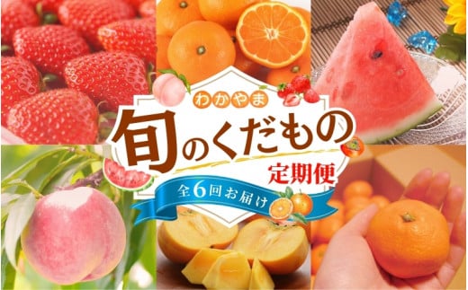 わかやま旬のくだもの定期便 全6回【S】(配送日時指定不可)※北海道・沖縄・離島への配送不可 / 定期便 フルーツ  まりひめ いちご イチゴ 完熟清見オレンジ 小玉 すいか 桃 たねなし