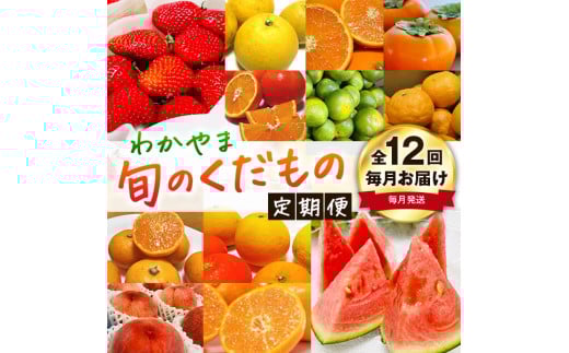 わかやま旬のくだもの定期便 全12回【S】(配送日時指定不可)※北海道・沖縄・離島への配送不可 / 定期便 フルーツ みかん いちご イチゴ セミノール 河内晩柑 カラマンダリン すいか
