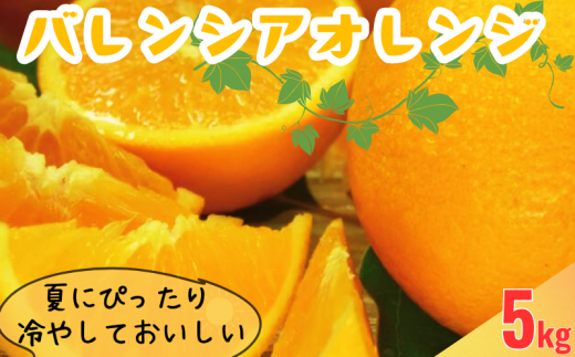 oVAIW[5kg] 󒬓cY t݂ t񂫂(IʁEʎTCY)@2026N6{`2026N7{ɏ / oVAIW IW  ݂ k ʕ