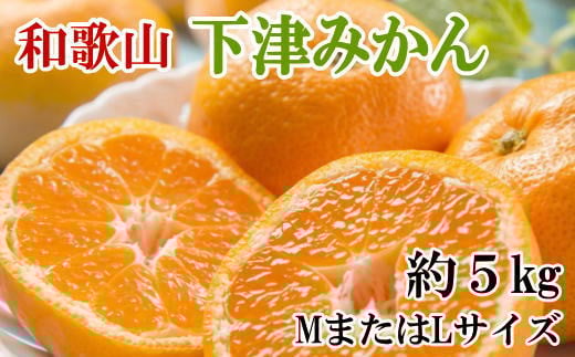 【産直・秀品】和歌山下津みかん約5kg (MサイズまたはLサイズのいずれかをお届け) ※2025年11月中旬〜2026年1月中旬頃発送予定/ 果物 くだもの フルーツ 蜜柑 みかん ミカン 和歌山 オレンジ 柑