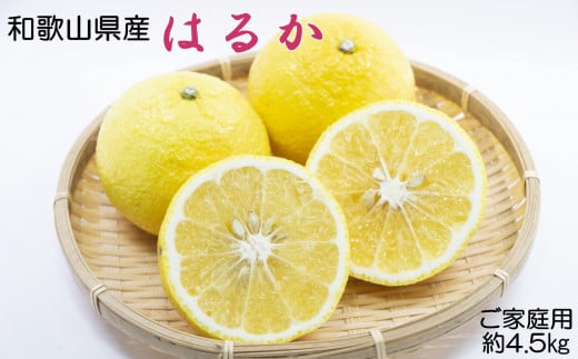【さわやか柑橘】和歌山県産はるかみかん約4.5kg(サイズ混合 ご家庭用)※2026年2月下旬〜2026年3月下旬頃順次発送 / みかん ミカン くだもの 果物 フルーツ 柑橘 オレンジ はるみオレンジ