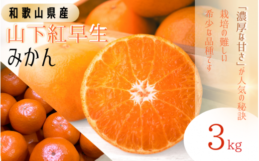 ys\zGi ugv B ݂ Rg 3kg yS~2LTCY܂zy2025N11{`2025N12{܂łɏzD_ /B݂ ݂  k R  G