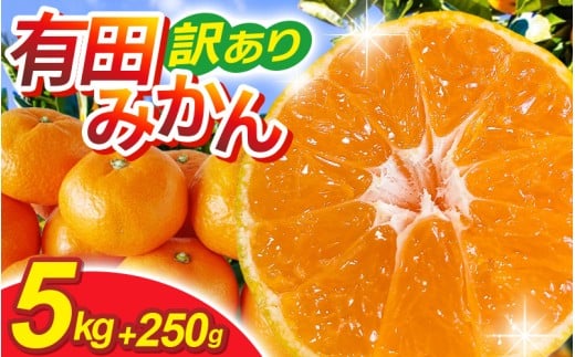 家庭用有田みかんサイズ混合(2S〜2L)5kg+250g 11月より発送(完熟)/ みかん ミカン 有田みかん 柑橘 フルーツ 果物 和歌山 オレンジ【ikd007C】和歌山県紀美野町12000果物・フルーツみかん・柑橘類