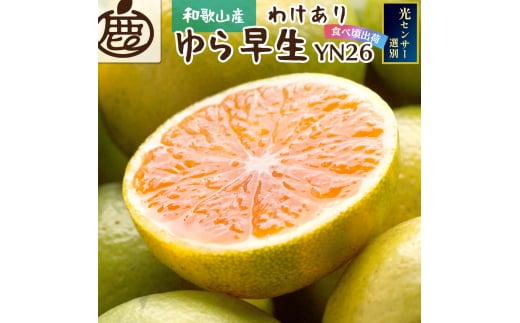ys\zƒpLc݂TCY(2S`2L)2.5kg+250g 10蔭(ɑ)/ ݂ ~J Lc݂ k t[c ʕ a̎R IWyikd147Bza̎RI쒬7000ʕEt[c