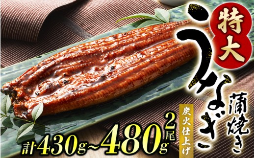 yʏzz1215g`240g̃rbOTCY Ȃ 2 v430g`480g i^ERtj Y V Ȃ Ȃ̊ YΏĂ Y TCYynks700B-yza̎RI쒬14000