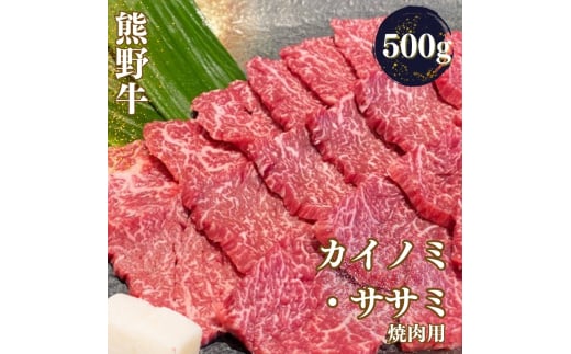 F싍 󏭕 JCm~ETT~ ēp 500gymtf426Aza̎RI쒬23000