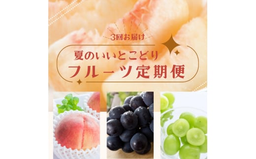 【3か月定期便】夏のいいとこどりフルーツ定期便♪桃・ピオーネ・シャインマスカット【tkb360】和歌山県紀美野町55000果物・フルーツもも・すもも