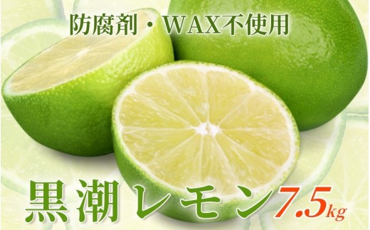 <先行予約>レモン7.5kg+250g(傷み補償分)【和歌山有田産】【防腐剤・WAX不使用、安心の国産レモン】【ikd033C】和歌山県紀美野町24000果物・フルーツみかん・柑橘類