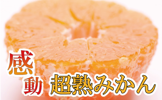 家庭用 超熟有田みかん2.5kg+75g(傷み補償分)【わけあり・訳あり】【光センサー選果】<11月上旬より順次発送予定>【ikd113B】和歌山県紀美野町7000果物・フルーツみかん・柑橘類