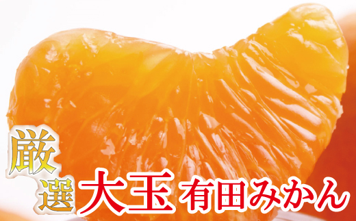 家庭用 超熟有田みかん7kg+210g(傷み補償分)【光センサー選果】<11月上旬より順次発送予定> / みかん 和歌山 有田 ミカン オレンジ 柑橘 フルーツ 果物 果実【ikd119B】和歌山県紀美野町1000
