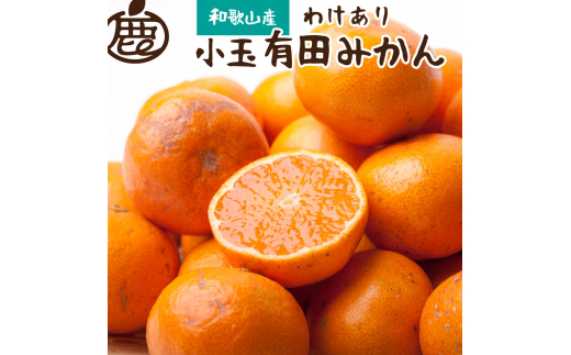 厳選 小玉な有田みかん2.5kg+75g(傷み補償分)【光センサー選果】※北海道・沖縄・離島への配送不可 / ミカン みかん 柑橘 フルーツ 果物 果実 オレンジ【ikd155A】和歌山県紀美野町6000果物・