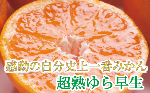 <11月より発送>厳選 超熟有田みかん7.5kg+225g(傷み補償分)【自分史上一番みかん】【光センサー選別】【ikd171】和歌山県紀美野町23000果物・フルーツみかん・柑橘類