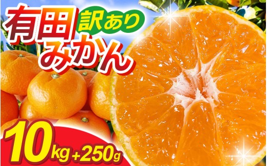 【先行予約】家庭用有田みかんサイズ混合(2S〜2L)10kg+250g 11月より発送(完熟)/ みかん ミカン 有田みかん 柑橘 フルーツ 果物 和歌山 オレンジ【ikd175B】和歌山県紀美野町23000果物・フルーツみ