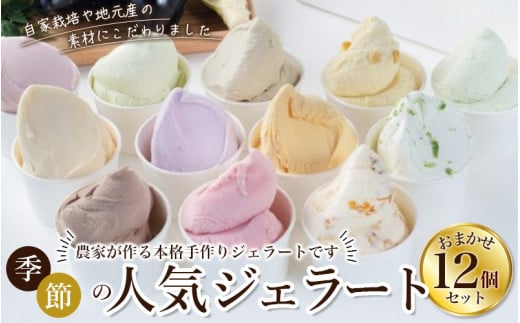 yL~m[JI肷zWF[g12Zbg  y11z / WF[g ACX ACXN[ L~m[J XC[c lC  Mtg  fU[g q oGeBZbg  