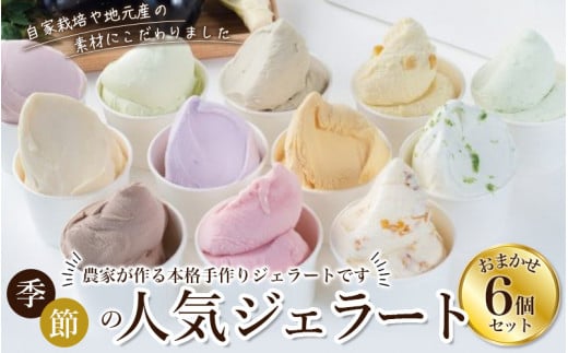 yL~m[JI肷zWF[g6Zbg  y2z / WF[g ACX ACXN[ L~m[J XC[c lC  Mtg  fU[g q oGeBZbg  J