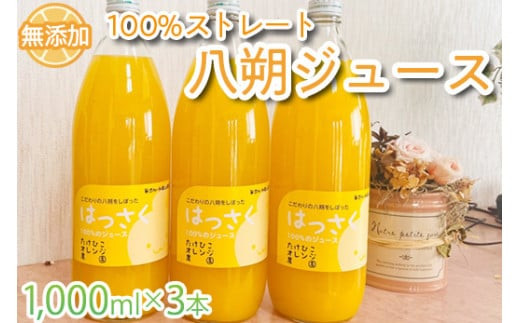 yYz100Xg[gW[X@1,000ml×3{Zbg wsytkh002za̎RI쒬10000Eʏ`E؈