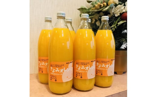 IWW[X(Xg[g) 1,000ml×6{ wsytkh003za̎RI쒬18000Eʏ`E؈