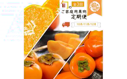 【全3回】紀州和歌山産旬のご家庭用果物定期便 (ひらたねなし柿・富有柿・みかん)【tkb379】和歌山県紀美野町41000果物・フルーツその他 果物・フルーツ