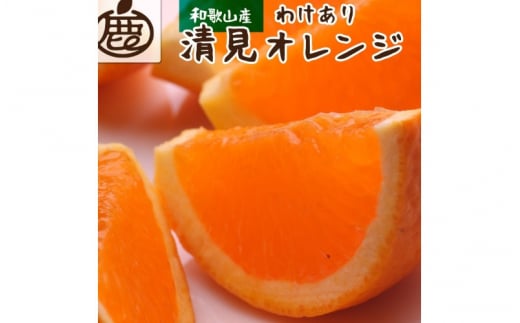 <2月より発送>家庭用 清見5kg+250g(傷み補償分)【光センサー食頃出荷】【樹上完熟きよみオレンジ・清見タンゴール・清美】【わけあり・訳あり】【ikd166C】和歌山県紀美野町12000果物・