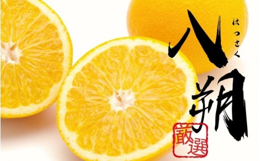 <1月より発送>【先行予約】厳選はっさく7.5kg+250g(傷み補償分)【八朔みかん】【ikd185A】和歌山県紀美野町18000果物・フルーツみかん・柑橘類