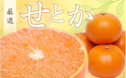 <2月より発送>厳選 せとか5kg+250g(傷み補償分)【柑橘・春みかんの王様】【光センサー選果・食べ頃出荷】【ikd205B】和歌山県紀美野町28000果物・フルーツみかん・柑橘類