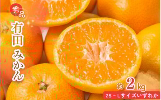 【先行予約】秀品 有田みかん 2kg 2S〜Lサイズのいずれか ※2025年12月上旬頃〜2025年12月下旬頃に順次発送予定 / みかん ミカン 蜜柑 温州みかん 柑橘 フルーツ 果物 くだもの 和歌山【uot835A】