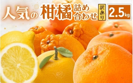 <1月より発送>家庭用 柑橘詰合せ2.5kg+250g(傷み補償分)【訳あり・わけあり】【有田の春みかん詰め合わせ・フルーツ詰め合せ・オレンジつめあわせ】【光センサー選別】【ikd041C】和歌
