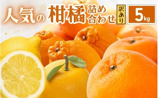 <1月より発送>家庭用 柑橘詰合せ5kg+250g(傷み補償分)【訳あり・わけあり】【有田の春みかん詰め合わせ・フルーツ詰め合せ・オレンジつめあわせ】【光センサー選別】【ikd208A】和歌山