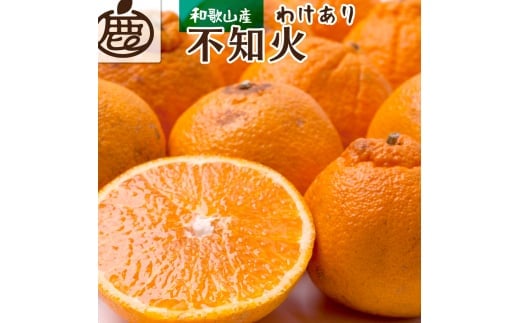 【先行予約】家庭用不知火2.5kg+250g(傷み補償分)<2月より発送>/ みかん ミカン 有田みかん 柑橘 フルーツ 果物 和歌山 オレンジ【ikd053D】和歌山県紀美野町8000果物・フルーツみかん・柑