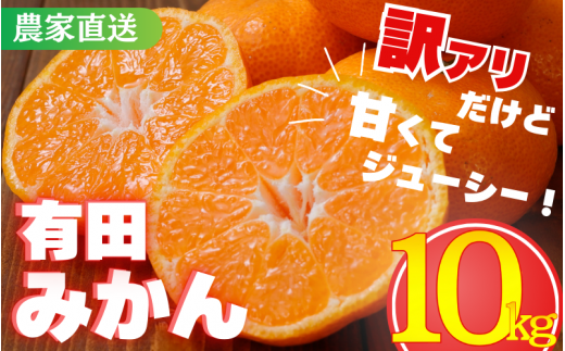 【訳あり】農家直送 有田みかん 約10kg ご家庭用 サイズ混合(お届け日指定不可)【年先行予約】※2025年11月中旬より順次発送予定 ※北海道・沖縄・離島への配送不可 訳ありみかん 温州