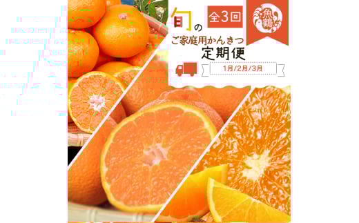 【全3回】紀州和歌山産旬のご家庭用柑橘セット(みかん・不知火・清見)【tkb411】和歌山県紀美野町39000果物・フルーツみかん・柑橘類