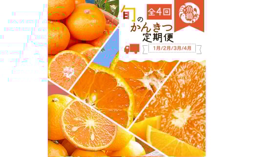 yS4zIBa̎RY{̂ƒpkZbg(݂Esm΁EƂE)ytkb412za̎RI쒬51000ʕEt[c݂Ek