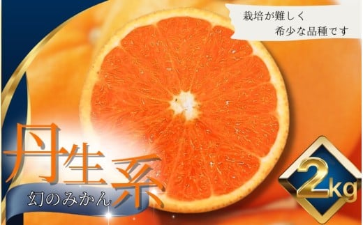 【L〜3Lサイズおまかせ】※秀優混合 丹生系みかん 2kg ※箱込み【2026年2月初旬から2月下旬頃までに順次出荷】<味好農園>/ 丹生系 にゅうけい みかん 柑橘 果物 フルーツ ミカン 訳あり 秀
