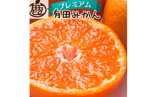ys\zv~ALc݂10kg+250giݕ⏞j11蔭(n)/ ݂ ~J Lc݂ k t[c ʕ a̎R IWyikd215za̎RI쒬25000ʕEt[c
