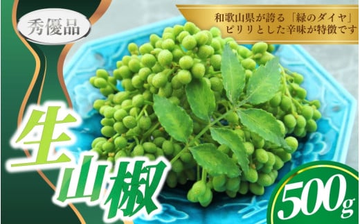 【先行予約】ぶどう生山椒 500g【2026年5月中に順次発送予定】<味好農園>/ 山椒 さんしょう 生山椒 生さんしょう 調味料 スパイス 香辛料 山椒の実 山椒の実生 実【agy032】和歌山県紀美野町