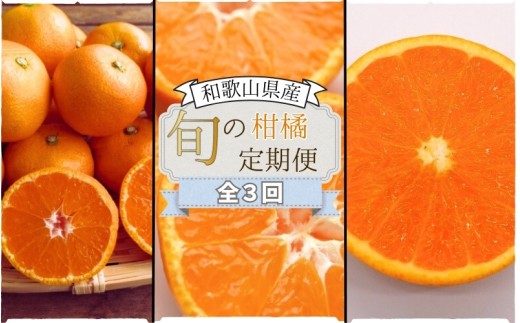 【全3回定期便】みかんの地和歌山から厳選してお届け! 人気の柑橘定期便 華 /みかん 柑橘 果物 フルーツ 定期便 温州 ミカン 不知火 でこぽん せとか オレンジ 【agy100】和歌山県紀美野町