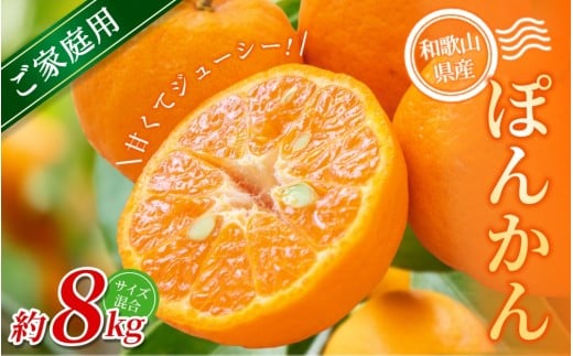 【ご家庭用】手選別 ぽんかん 約8kg 和歌山県産 2S~2Lサイズ混合※2026年1月上旬〜2月上旬頃に順次発送【mrmt044】和歌山県紀美野町16000果物・フルーツみかん・柑橘類