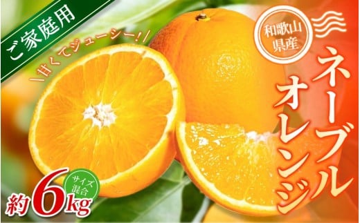 【ご家庭用】手選別 ネーブルオレンジ 約6kg 和歌山県産 2S~2Lサイズ混合※2026年1月上旬〜2月中旬頃に順次発送【mrmt034】和歌山県紀美野町12000果物・フルーツみかん・柑橘類