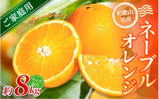 yƒpzI l[uIW 8kg a̎RY 2S~2LTCY2026N1{`2{ɏymrmt046za̎RI쒬16000ʕEt[c݂Ek