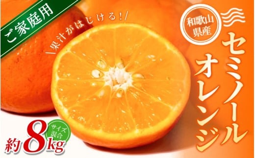【ご家庭用】手選別 セミノールオレンジ 約8kg 和歌山県産 2S~2Lサイズ混合※2026年4月中旬〜5月中旬頃に順次発送【mrmt050】和歌山県紀美野町16000果物・フルーツみかん・柑橘類