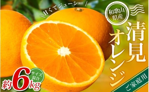 【ご家庭用】手選別 清見オレンジ 約6kg 和歌山県産 2S~2Lサイズ混合※2026年2月上旬〜5月中旬頃に順次発送【mrmt038A】和歌山県紀美野町12000果物・フルーツみかん・柑橘類