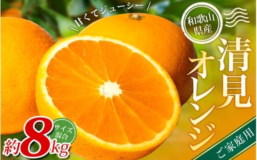 yƒpzI IW 8kg a̎RY 2S~2LTCY2026N2{`5{ɏymrmt048za̎RI쒬16000ʕEt[c݂Ek