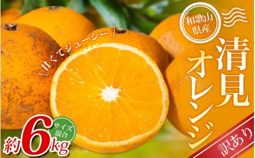 【訳あり】手選別 清見オレンジ 約6kg 和歌山県産 2S~2Lサイズ混合※2026年2月上旬〜5月中旬頃に順次発送【mrmt024A】和歌山県紀美野町11000果物・フルーツみかん・柑橘類