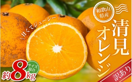 【訳あり】手選別 清見オレンジ 約8kg 和歌山県産 2S~2Lサイズ混合※2026年2月上旬〜5月中旬頃に順次発送【mrmt049】和歌山県紀美野町12000果物・フルーツみかん・柑橘類