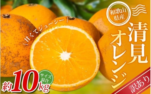 【訳あり】手選別 清見オレンジ 約10kg 和歌山県産 2S~2Lサイズ混合※2026年2月上旬〜5月中旬頃に順次発送【mrmt025A】和歌山県紀美野町14000果物・フルーツみかん・柑橘類