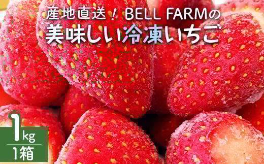 産地直送だから苺本来の美味しさ!BELL FARMの冷凍 いちご1kg 収穫当日冷凍の苺1kg【1230635】千葉県横芝光町8000果物・フルーツいちご