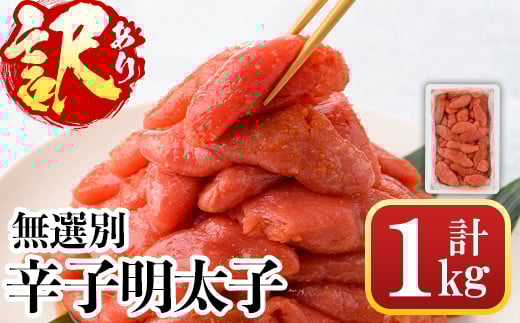 󂠂EIʁhqq(v1kg) q ߂񂽂 Ⓚ CN  ƒpzsyksg0089zyˎXzts12000ECYqȆ