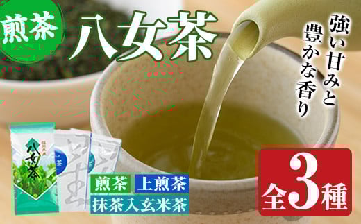 福岡県産八女煎茶とティーバッグ(上煎茶・抹茶入り玄米茶)詰め合わせ(計650g) お茶 緑茶 八女茶 小分け 常温 常温保存【ksg0214】【お茶の星陽園】福岡県春日市15000お茶・飲料お茶