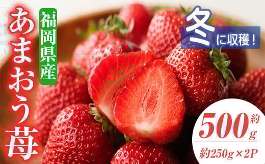 <先行予約受付中!2025年11月下旬〜2026年1月下旬に順次発送予定>あまおう苺・冬(2P)いちご 苺 フルーツ 果物 くだもの 福岡限定 家庭用 冷蔵 <離島配送不可>【ksg0032】【南国フルーツ】福
