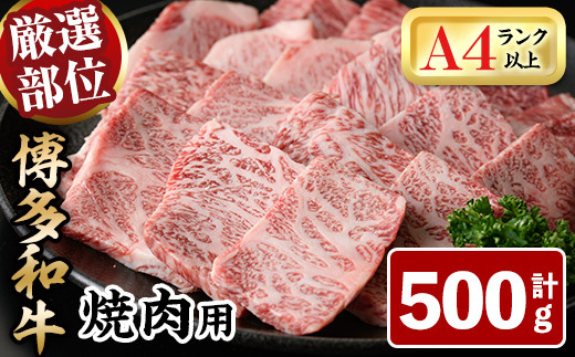 aēp(500g) јa Y BBQ ϔ  Mtg v[gzsyksg0287zyMEATPLUSzts13000
